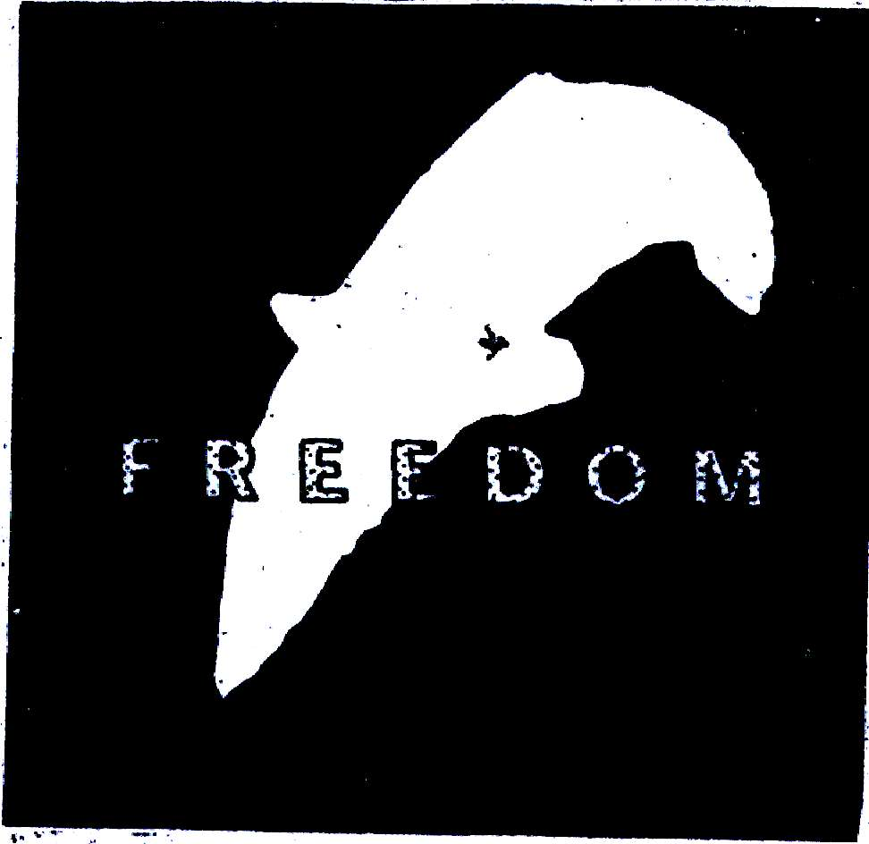 FREEDOM