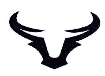 Animal image; Buffalo; Bull