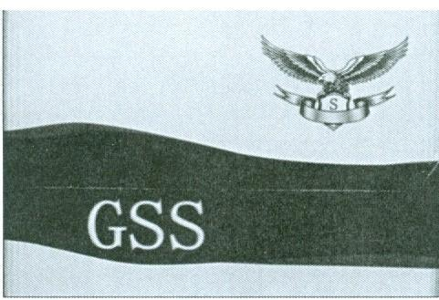 GSS