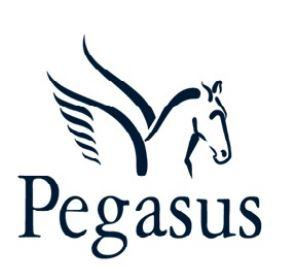 PEGASUS