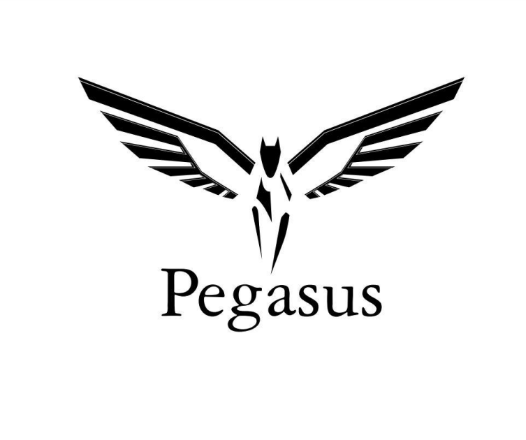 PEGASUS
