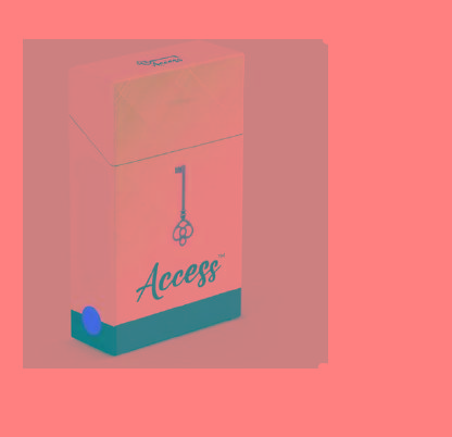 Stylized word, Access in grey on a white background.