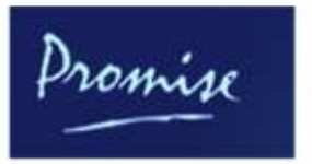 Stylized word, Promise in white on a blue background.