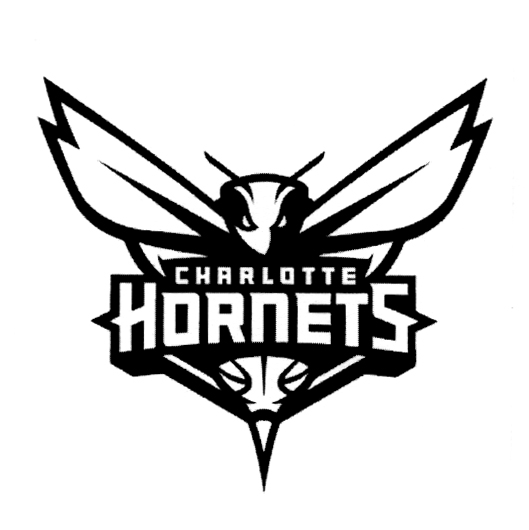 CHARLOTTE HORNETS