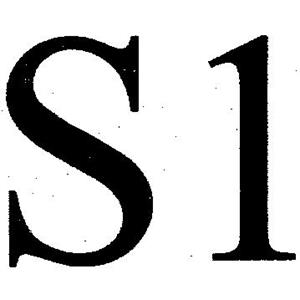 S1