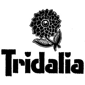 TRIDALIA
