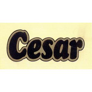 CESAR