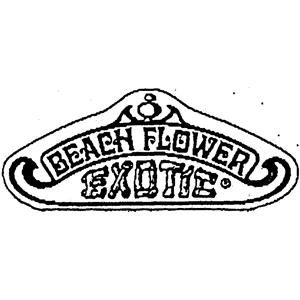 BEACH FLOWER EXOTIC