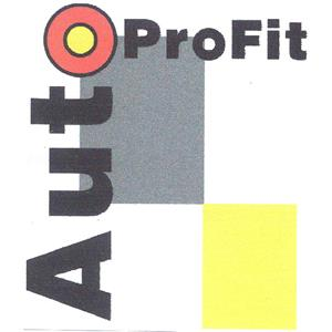 AUTO PROFIT