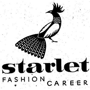 STARLET FASHION CAREER