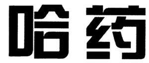 NON ROMAN CHARACTERS