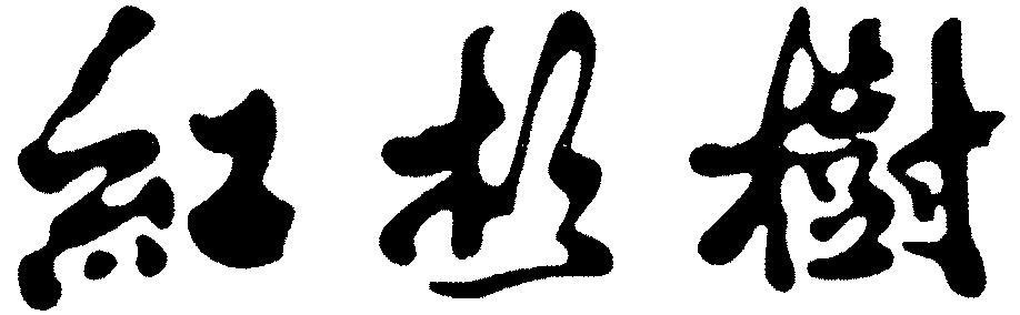 NON ROMAN CHARACTERS