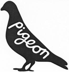 PIGEON