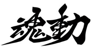 NON ROMAN CHARACTERS