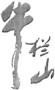 NON ROMAN CHARACTERS