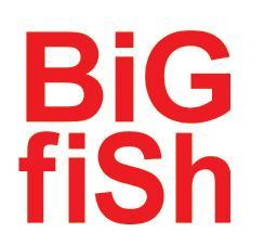 BIG FISH