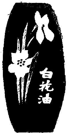 NON ROMAN CHARACTERS