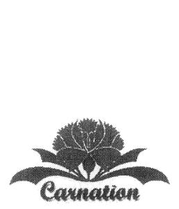 CARNATION