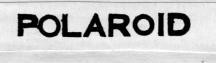 POLAROID