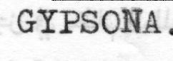 gypsona