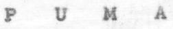 PUMA