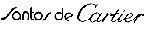 SANTOS DE CARTIER
