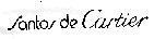 SANTOS DE CARTIER