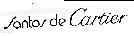 SANTOS DE CARTIER