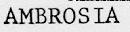 AMBROSIA