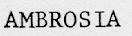 AMBROSIA