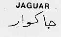 JAGUAR