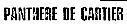 PANTHERE DE CARTIER