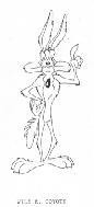 WILE E COYOTE