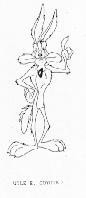 WILE E COYOTE