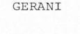 GERANI