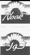 NOOR
