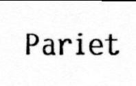 PARIET