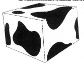 LABEL   بقع بيضاء وسوداء