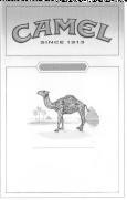 CAMEL