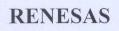 RENESAS
