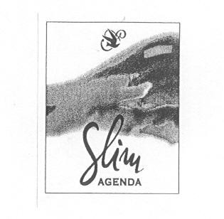 SLIM AGENDA