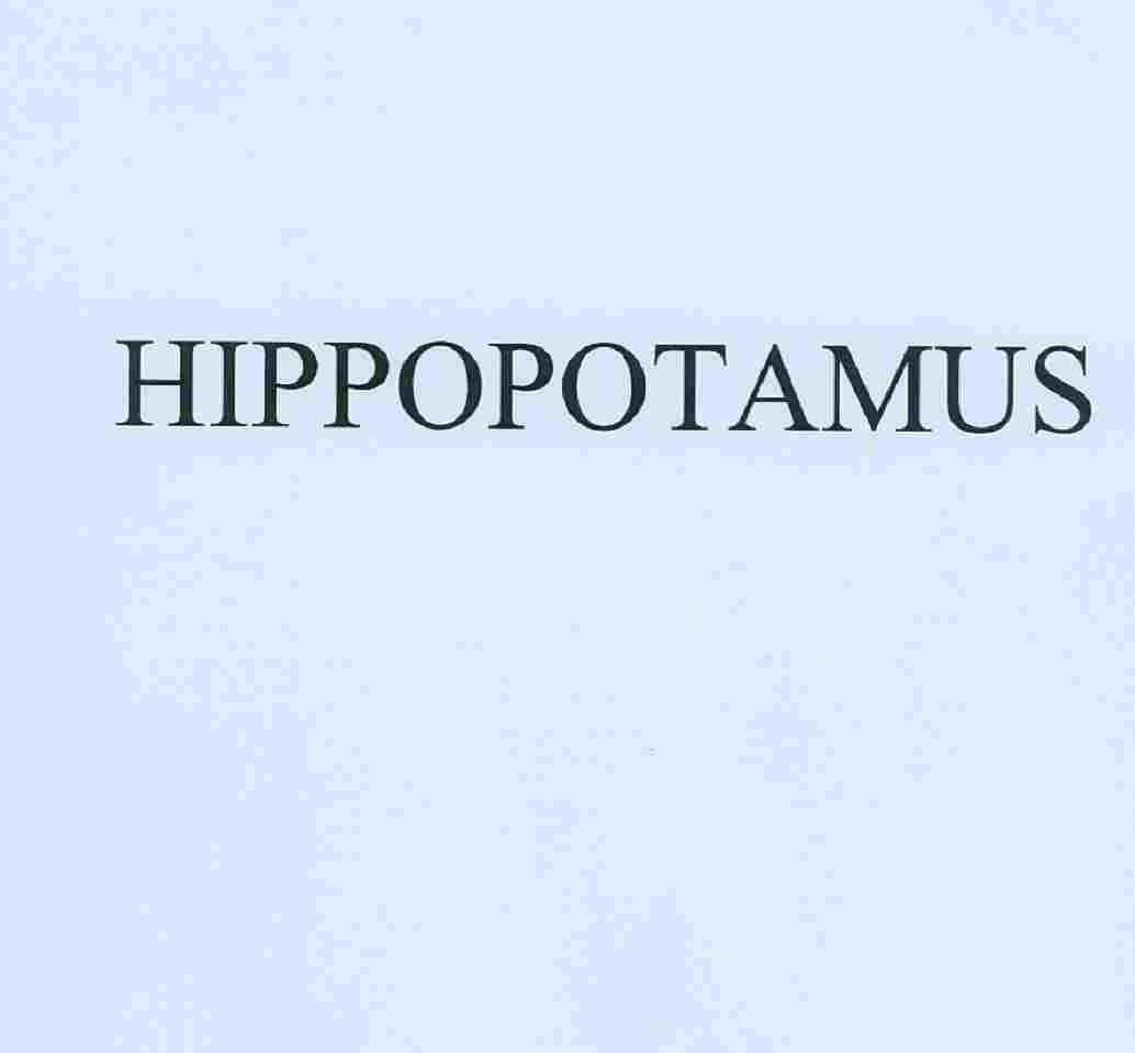 HIPPOPOTAMUS