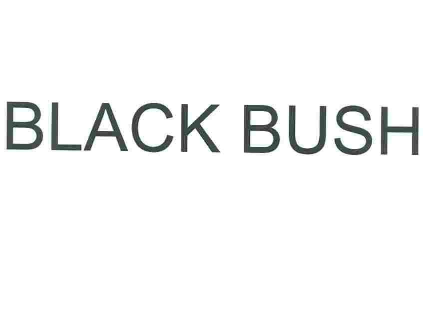 BLACK BUSH