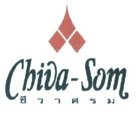 CHIVA-SOM
