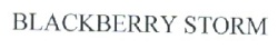 BLACKBERRY STORM بلاكبيريستتورم