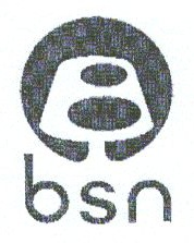 BSN بي أس إن