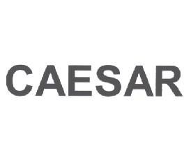 CAESAR