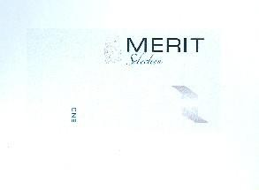 MERIT SELECTION ONE