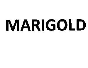 MARIGOLD