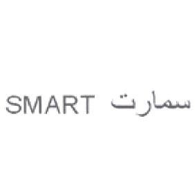 SMART